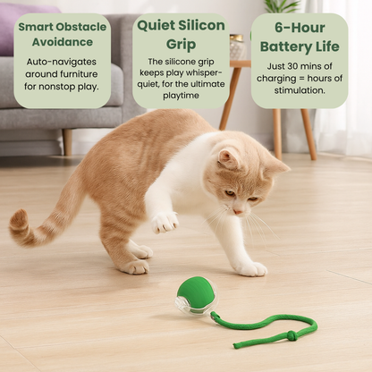 Smart Rolling Pet Toy