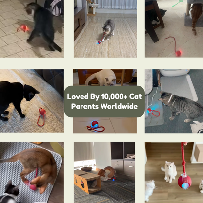 Smart Rolling Pet Toy